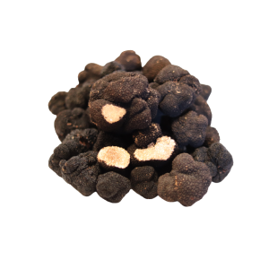 vente truffe fraîche été tuber aestivum truffe blanche provence vaucluse